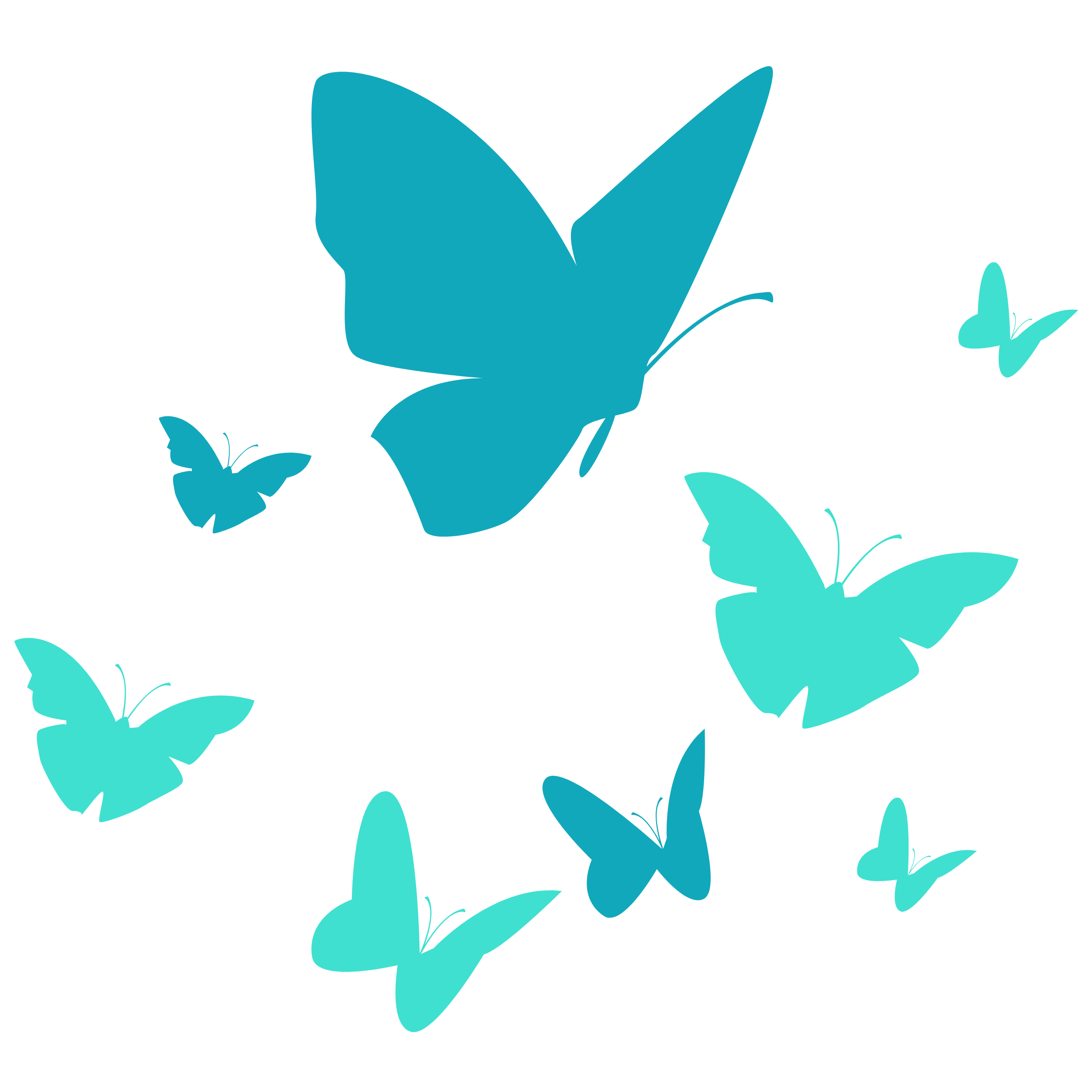 Decorative butterflies