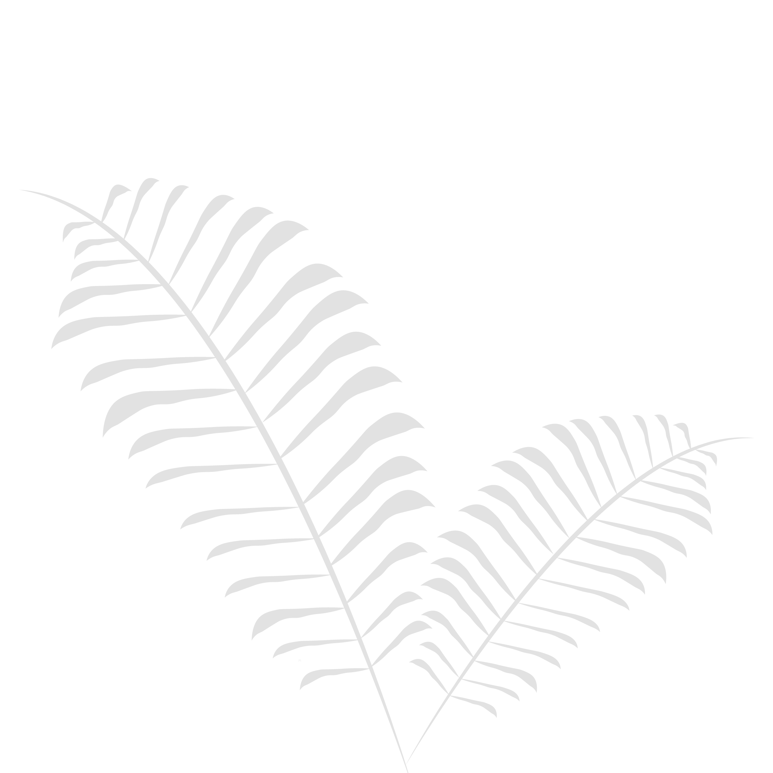 Decorative grey leaves